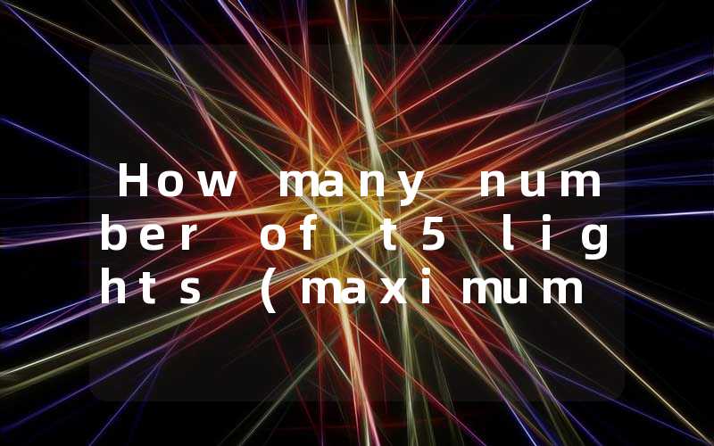 How many number of t5 lights (maximum number of t5 lights in series)