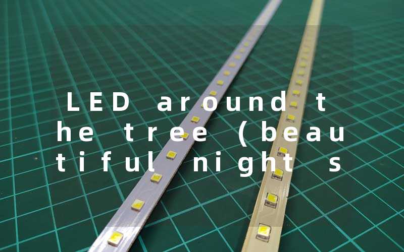 LED around the tree (beautiful night scene)