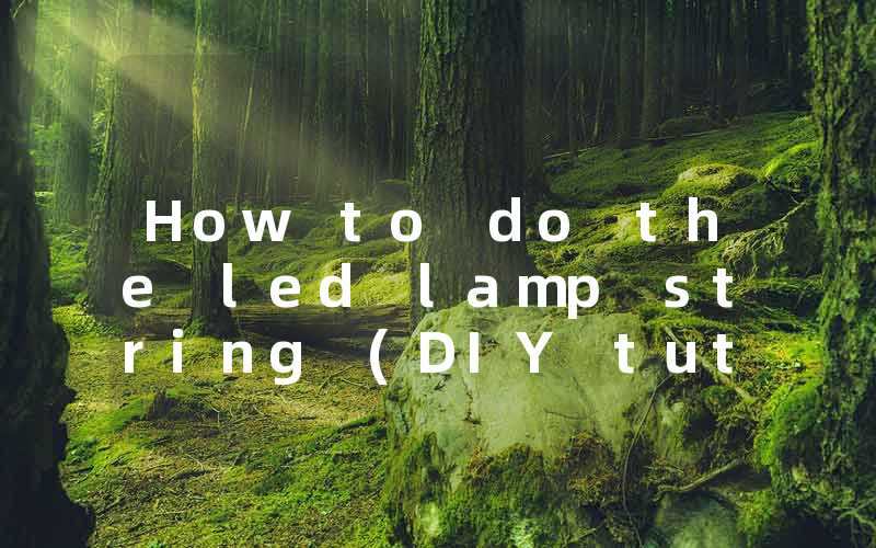 a480050091ec348c9e1f889c40c18eeb_How%20to%20do%20the%20led%20lamp%20string%20(DIY%20tutorial)
