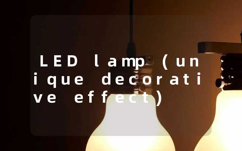 LED lamp unique decorative effect