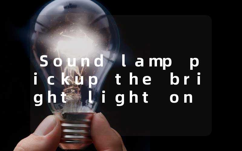 Sound lamp pickup the bright light on the stage