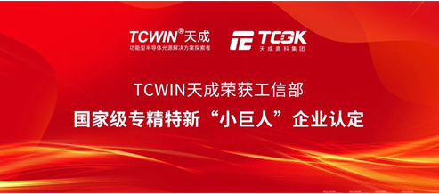 TCWIN Awarded National-level "Little Giants" Enterprise Recognition