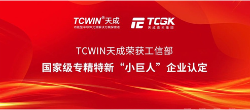 TCWIN Awarded National-level Little Giants Enterprise Recognition